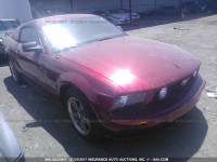2005 Ford Mustang 1ZVFT82H455106915