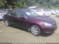 2010 Honda Accord 1HGCP2F73AA166325