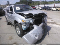 2007 Ford Escape 1FMCU49H67KA97653