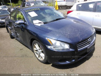 2009 Nissan Maxima S/SV 1N4AA51E09C845571