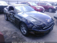 2013 FORD MUSTANG 1ZVBP8AM5D5213343