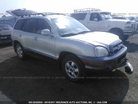 2006 Hyundai Santa Fe KM8SC13E56U046790