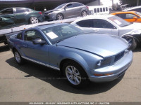 2006 Ford Mustang 1ZVFT80N965135675