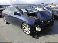 2006 Acura TSX JH4CL96936C020912