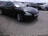 2009 Nissan Maxima 1N4AA51E89C835919