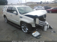 2011 Cadillac Escalade PLATINUM 1GYS3DEF2BR162192