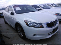 2010 Honda Accord 5KBCP3F83AB010825