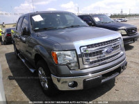 2014 Ford F150 1FTFW1CT4EKE12275