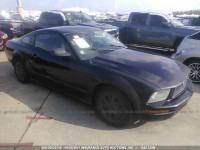 2005 Ford Mustang 1ZVFT80N655149810