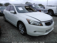 2009 Honda Accord 1HGCP36889A000151