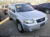 2007 Ford Escape 1FMYU04197KB59295