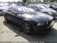 2006 Ford Mustang 1ZVFT82H065232478
