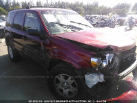 2007 Ford Escape 1FMYU04107KB90516