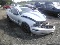 2006 Ford Mustang 1ZVFT80N665210798