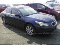 2009 Honda Accord 1HGCP36879A020438