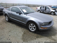 2006 Ford Mustang 1ZVFT80N465161178