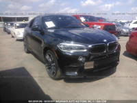 2015 BMW X6 5YMKW8C55F0R42882