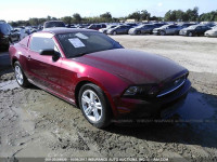 2014 Ford Mustang 1ZVBP8AM5E5245162