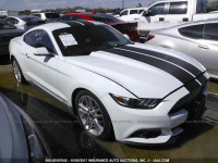 2017 FORD MUSTANG 1FA6P8TH9H5237189