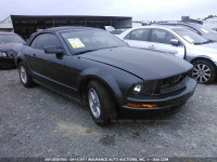 2008 Ford Mustang 1ZVHT84N685187819