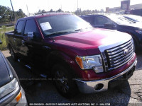 2010 Ford F150 1FTEW1C87AKB47157
