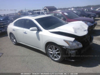 2010 Nissan Maxima 1N4AA5AP5AC840162