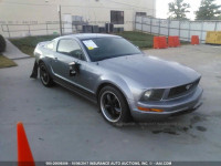 2006 Ford Mustang 1ZVFT80N265260162