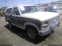 1986 Ford Bronco U100 1FMEU15H3GLA94863
