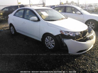 2013 KIA FORTE EX KNAFU4A28D5725129