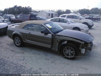 2005 Ford Mustang 1ZVFT84N555190861