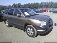 2005 Hyundai Santa Fe GLS/LX KM8SC73E15U960519