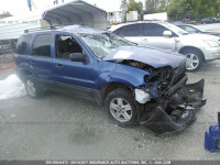 2007 Ford Escape 1FMYU02ZX7KA16560