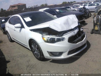 2014 Kia Cadenza Premium/limited KNALN4D78E5148997