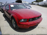2008 Ford Mustang 1ZVHT84N685195239