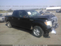 2010 Ford F150 1FTEW1C83AFD25297