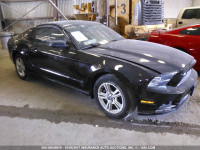 2013 Ford Mustang 1ZVBP8AM0D5281873