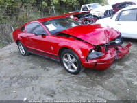 2008 Ford Mustang 1ZVHT80N085110031