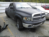 2002 Dodge RAM 1500 3B7HU18N12G106856