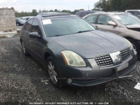 2005 NISSAN MAXIMA 1N4BA41EX5C824753