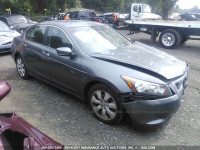 2010 HONDA ACCORD 1HGCP2F77AA080807