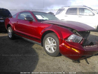 2007 Ford Mustang 1ZVFT80NX75344652