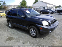 2002 Hyundai Santa Fe GLS/LX KM8SC73D22U182556