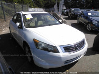 2010 HONDA ACCORD 1HGCP2F77AA116625