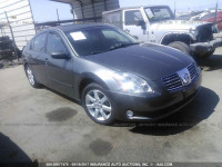 2005 NISSAN MAXIMA 1N4BA41E55C834655