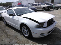 2013 Ford Mustang 1ZVBP8AM2D5281082