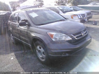 2010 Honda CR-V 3CZRE3H30AG704568