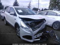 2013 Ford Escape 1FMCU0H92DUA52695