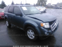 2010 Ford Escape 1FMCU0D78AKC06838