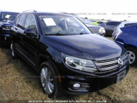 2014 Volkswagen Tiguan S/SE/SEL/R-LINE WVGAV3AX1EW566879