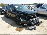 2017 FORD ESCAPE 1FMCU0J96HUB12591